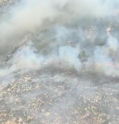 Silifke’de orman yangını (2)