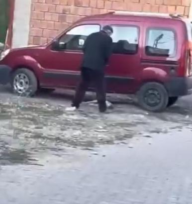 Sivas'ta yavru köpeğe sopayla şiddete para cezası