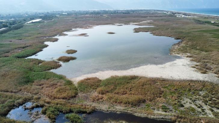Temmuzun ilk haftası tamamen kuruyan Milleyha Kuş Cenneti suyla doldu