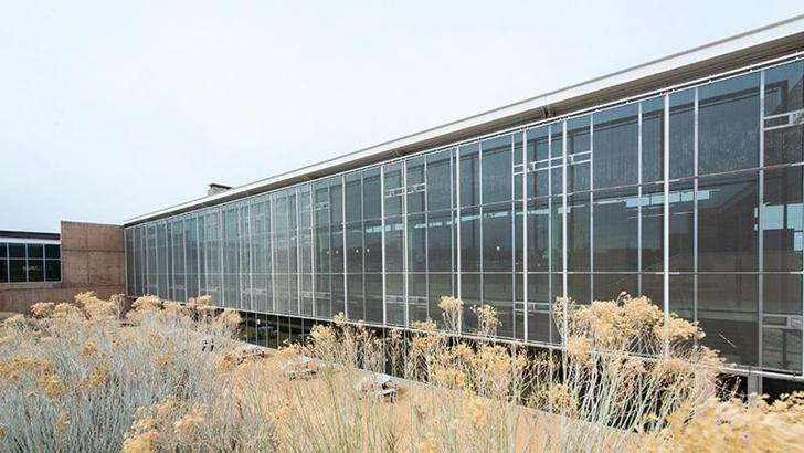 ABD'de üniversitenin yurdunda silahlı saldırı: 1 ölü, 1 yaralı