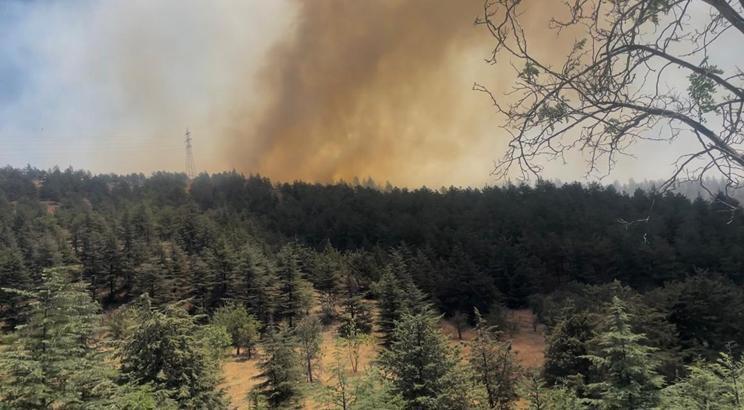 Ankara'da Eymir Gölü çevresindeki ormanda yangın