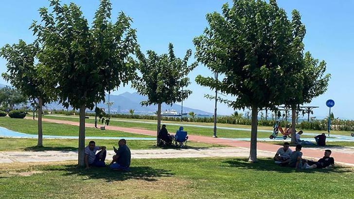 İzmir'de sıcaklık rekoru kırıldı