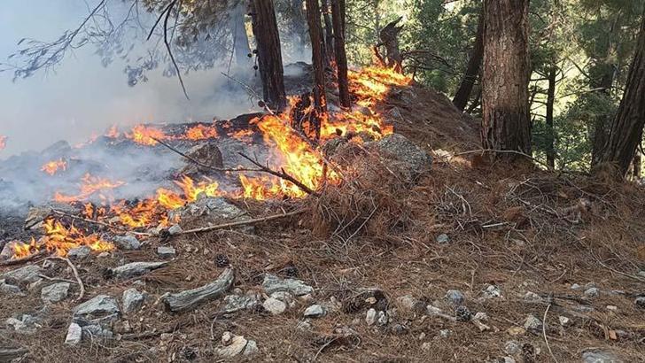 Kozan'da orman yangını 25 saat sonra kontrol altında