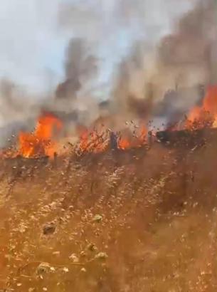 İstanbul- Silivri'de 4 ayrı noktada çıkan anız yangını söndürüldü