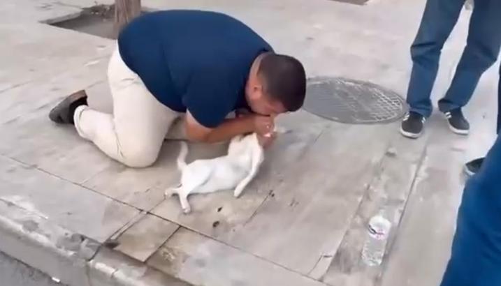 Kediyi, suni teneffüs ve kalp mesajı ile kurtarmaya çalıştı