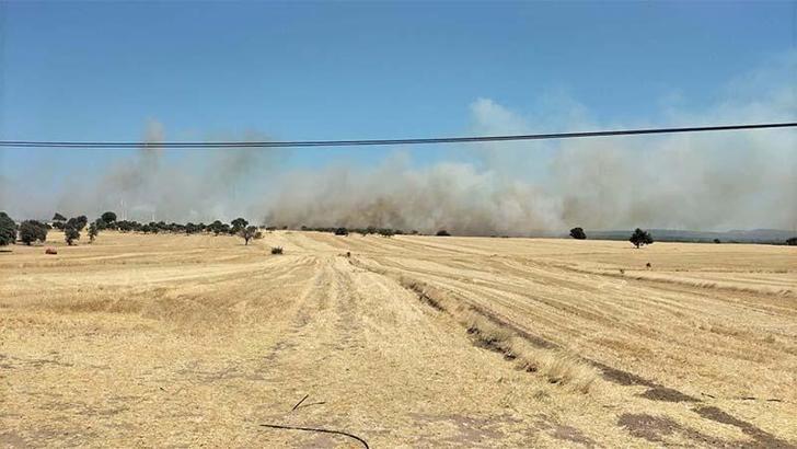 Çanakkale'deki tarım arazisinde çıkan yangın kontrol altında