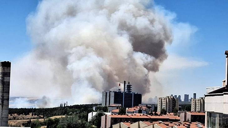 Ankara'da Eymir Gölü çevresindeki ormanda yangın (4)
