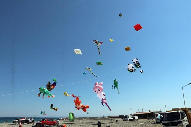 Trakya Uçurtma Festivali'nden renkli görüntüler