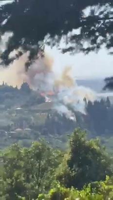 Kocaeli'de orman yangını