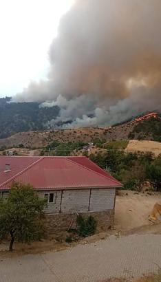 Kahramanmaraş’ta orman yangını