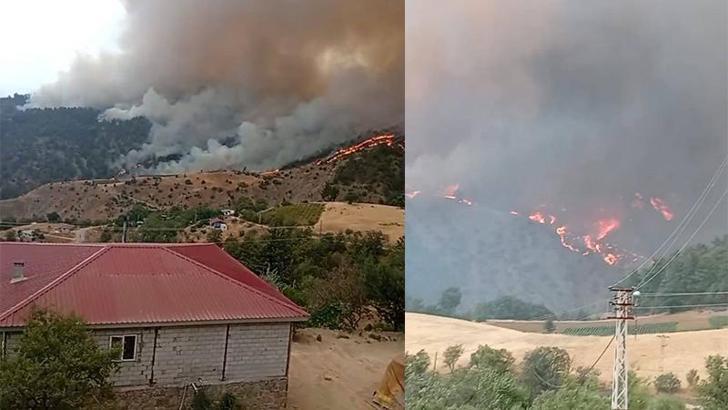 Kahramanmaraş’ta orman yangını