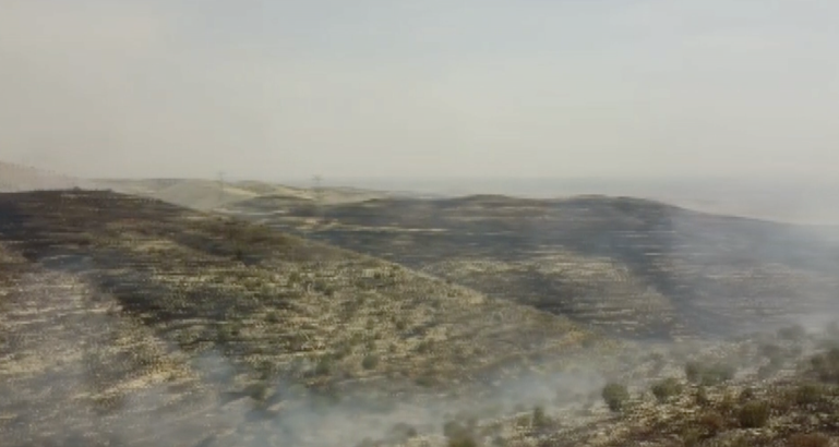 Batman’da örtü yangını; bin dönüm alan zarar gördü