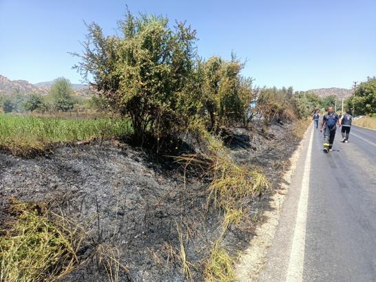 Nazilli’deki ot yangını prefabrik depoya da sıçradı; 1 yaralı