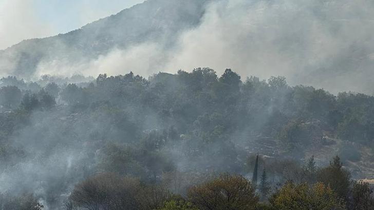 Diyarbakır'da çıkan örtü yangını kontrol altında