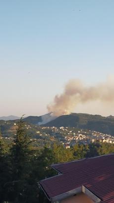 Zonguldak'taki orman yangını söndürüldü