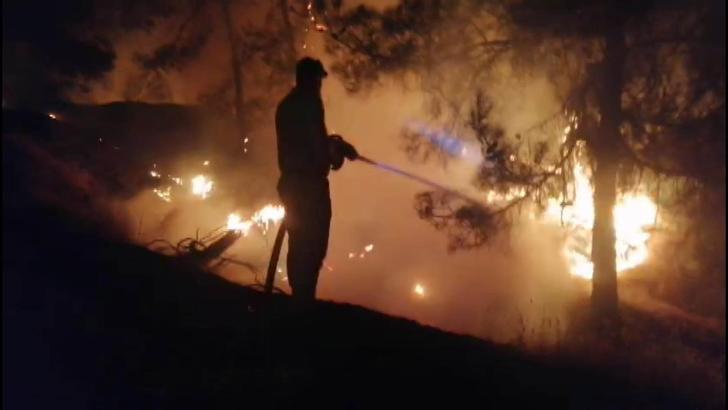 Kahramanmaraş'ta orman yangını (2)