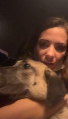 Bursa'da orman yangını (9)