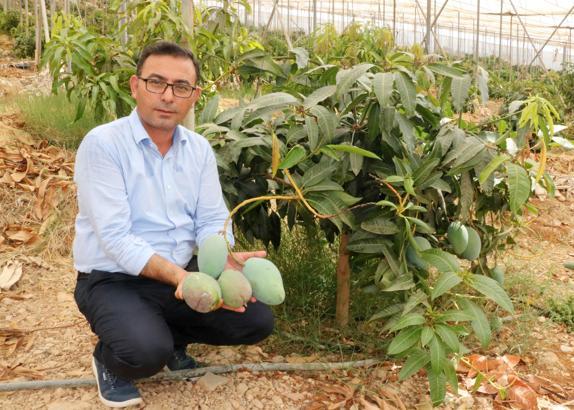 ‘Tüketicimiz yerli mangoyu tercih etsin’