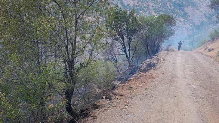 Elazığ'daki örtü yangını kontrol altına alındı