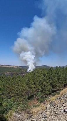 Bursa Orhaneli’de alevler yeniden canlandı