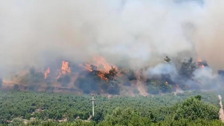 Bursa’daki yangın bölgesi dronla görüntülendi; tahliye edilen mahallelere dönüş başladı (7)