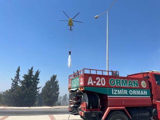 İzmir'de orman yangını