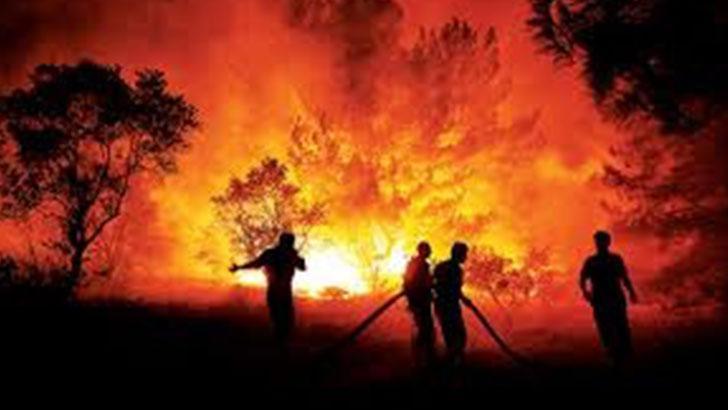 Orman yangınlarının çoğu aynı gün kontrol altına alındı