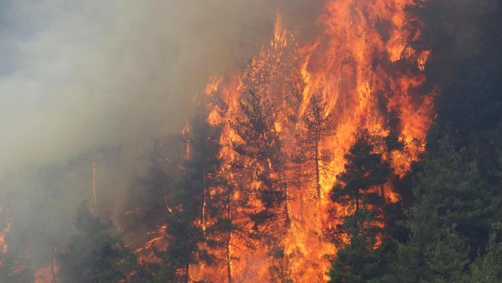 Bursa’daki yangın bölgesi dronla görüntülendi / Ek fotoğraflar