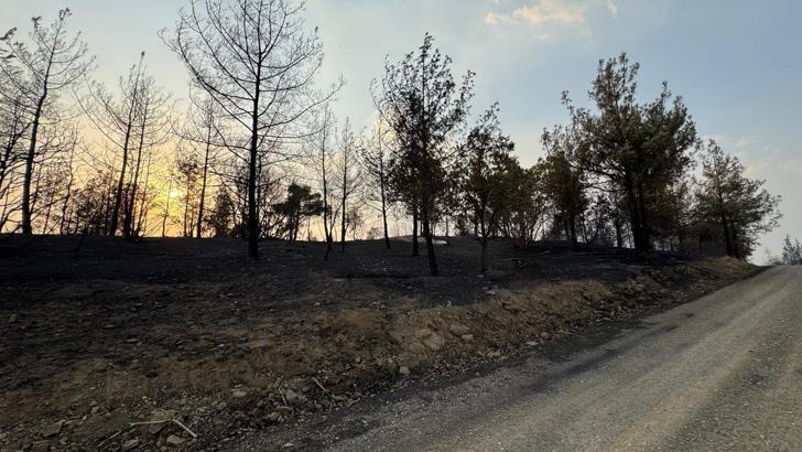 Kahramanmaraş’taki orman yangınında 2'nci gün (2)