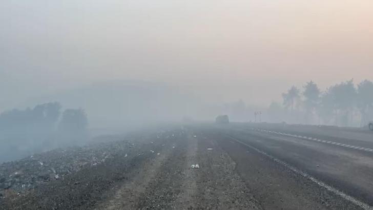 Bursa Orhaneli'de orman yangını; çevreyi duman kapladı