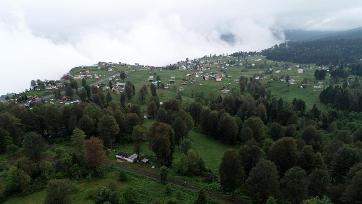 Karadeniz’in yaylalarına ‘sıcak’ göçü