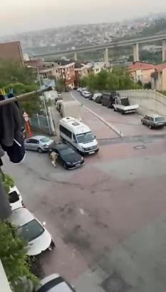 İstanbul - Kağıthane'de otomobillerin aynalarını tekmeleyip kırdı; tepki gösteren güvenlik görevlisine saldırdı