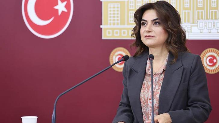 DEM Parti'li Koçyiğit: Komisyon demokratikleşme ve barış perspektifi içermeli