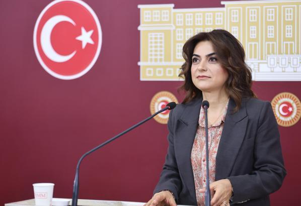 DEM Parti'li Koçyiğit: Komisyon demokratikleşme ve barış perspektifi içermeli