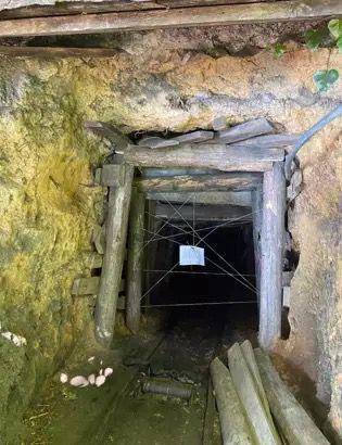 Zonguldak'ta 4 kaçak ocak imha edildi