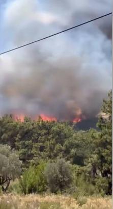İzmir'de orman yangını