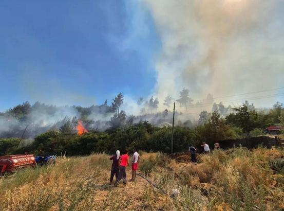 Muğla'da dağıtılan yangın tankerleri 24 olayda kullanıldı