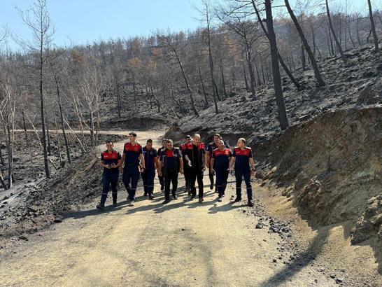 Hatay’da yanan ormanlık alanlar yeniden yeşerecek