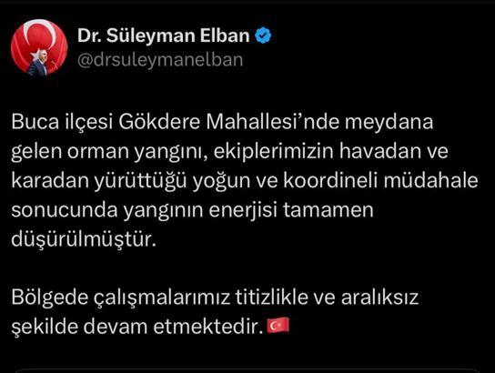 İzmir'de orman yangını (4)