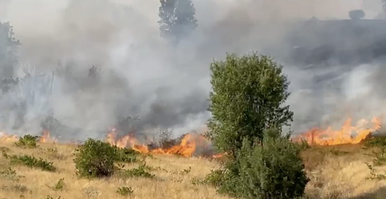 Diyarbakır’da örtü yangınına ekiplerin müdahalesi sürüyor