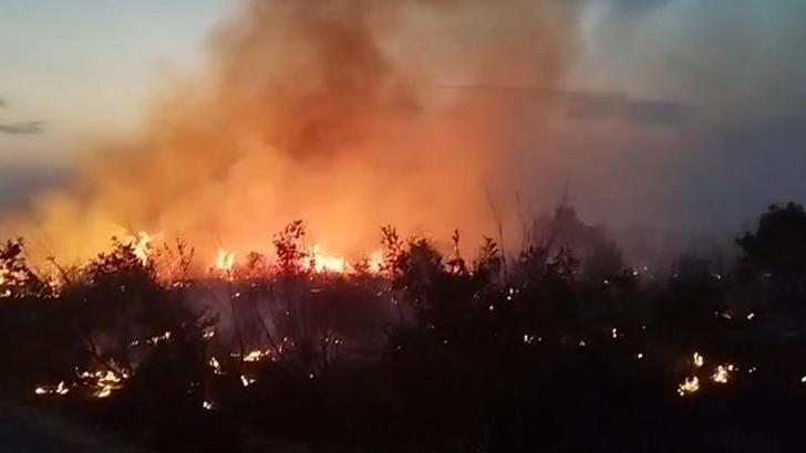 Diyarbakır’da örtü yangınına ekiplerin müdahalesi sürüyor