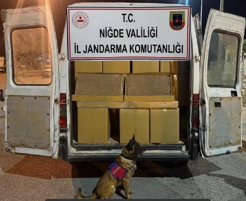 Niğde'de 1 milyon 200 bin doldurulmuş makaron ele geçirildi