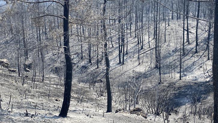 Karabük’te, bölgedeki ‘baca etkisi’ orman yangınının şiddetini artırdı