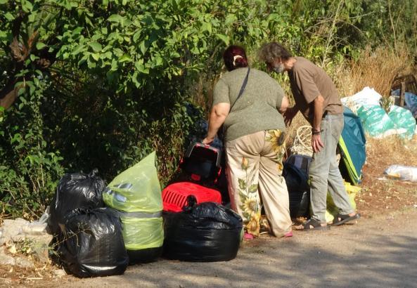 Boşaltılan evde hasta 5 kedi daha kurtarıldı