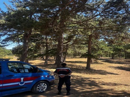 Sakarya'da 'havai fişek' yasağı