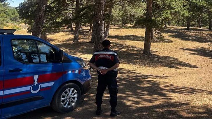 Sakarya'da 'havai fişek' yasağı