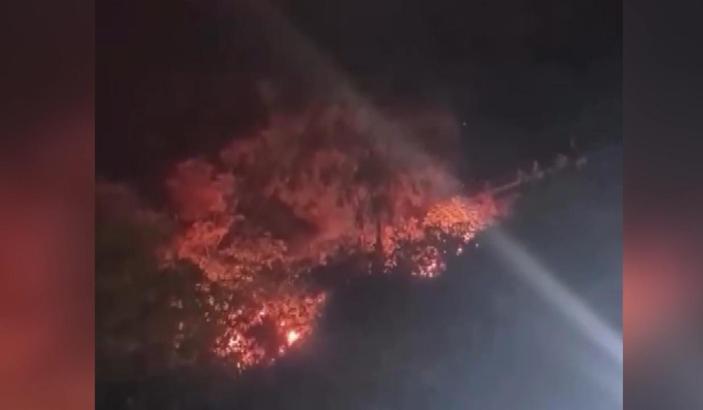 Attıkları havai fişek yangın çıkardı; 4 gözaltı