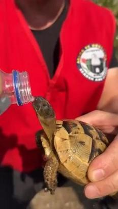 Bursa'daki orman yangını 4'üncü gününde; yanan alanlar dronla görüntülendi (6)