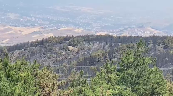 Karabük'teki 3 yangından biri kontrol altında