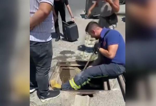 Yağmur suyu kanalında doğan kedileri itfaiye kurtardı
